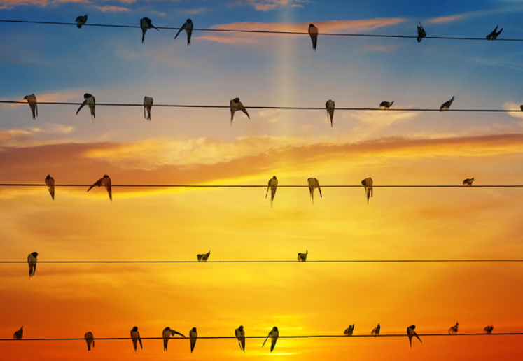 interoi inc, interoi, maitre électricien, entrepreneur électricien, électricité Montréal, électricité au Québec