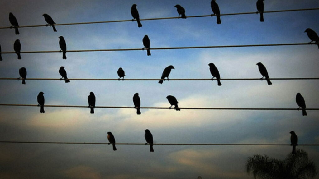 électricien à Mascouche, électricité Montréal, électricien à Terrebonne, électricité Laval, service électriques, Interoi électrique, panneau électrique, changement panneau électrique, luminaires, changement prise